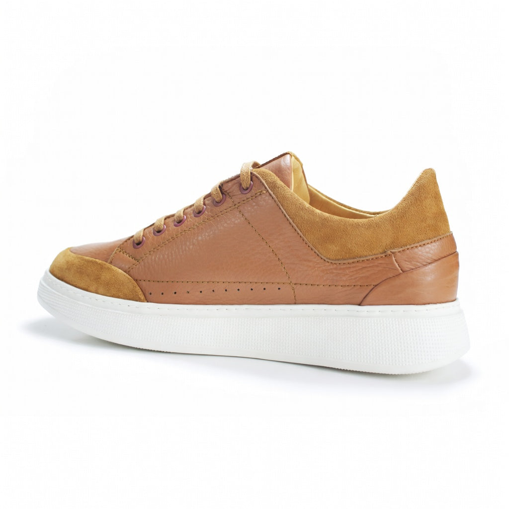 Sneakers Milano Tabac